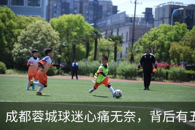 成都蓉城球迷心痛无奈，背后有五个无奈真相揭示！